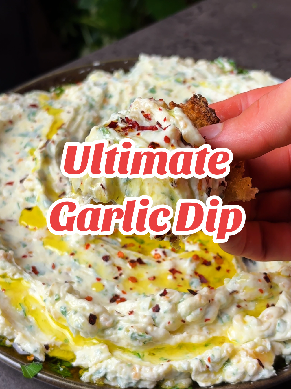 Ultimate Garlic Dip