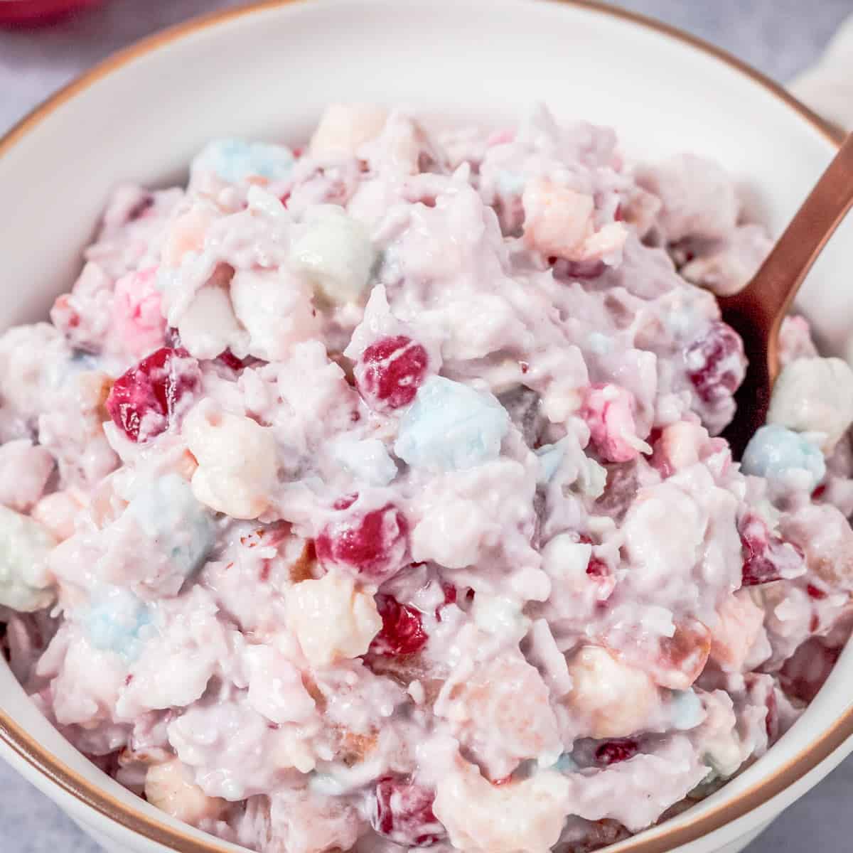 Millionaire Cranberry Salad Recipe