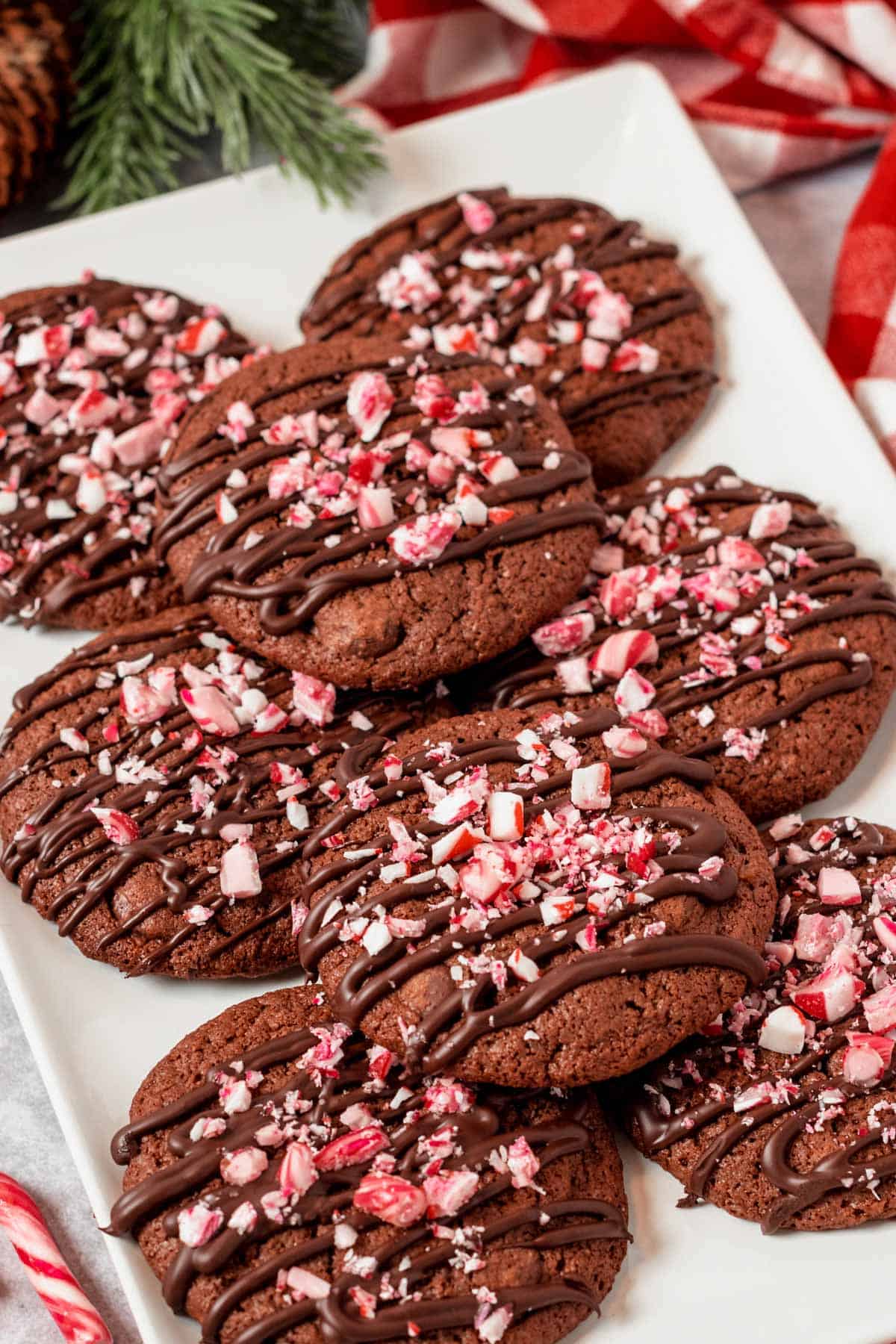 Gluten Free Chocolate Chip Cookies With Peppermint
