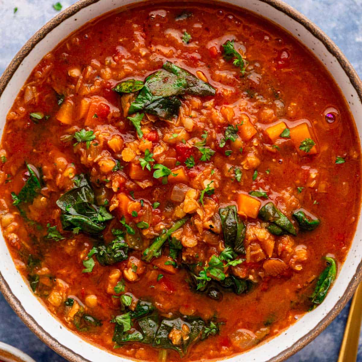 Lentil Stew Recipe