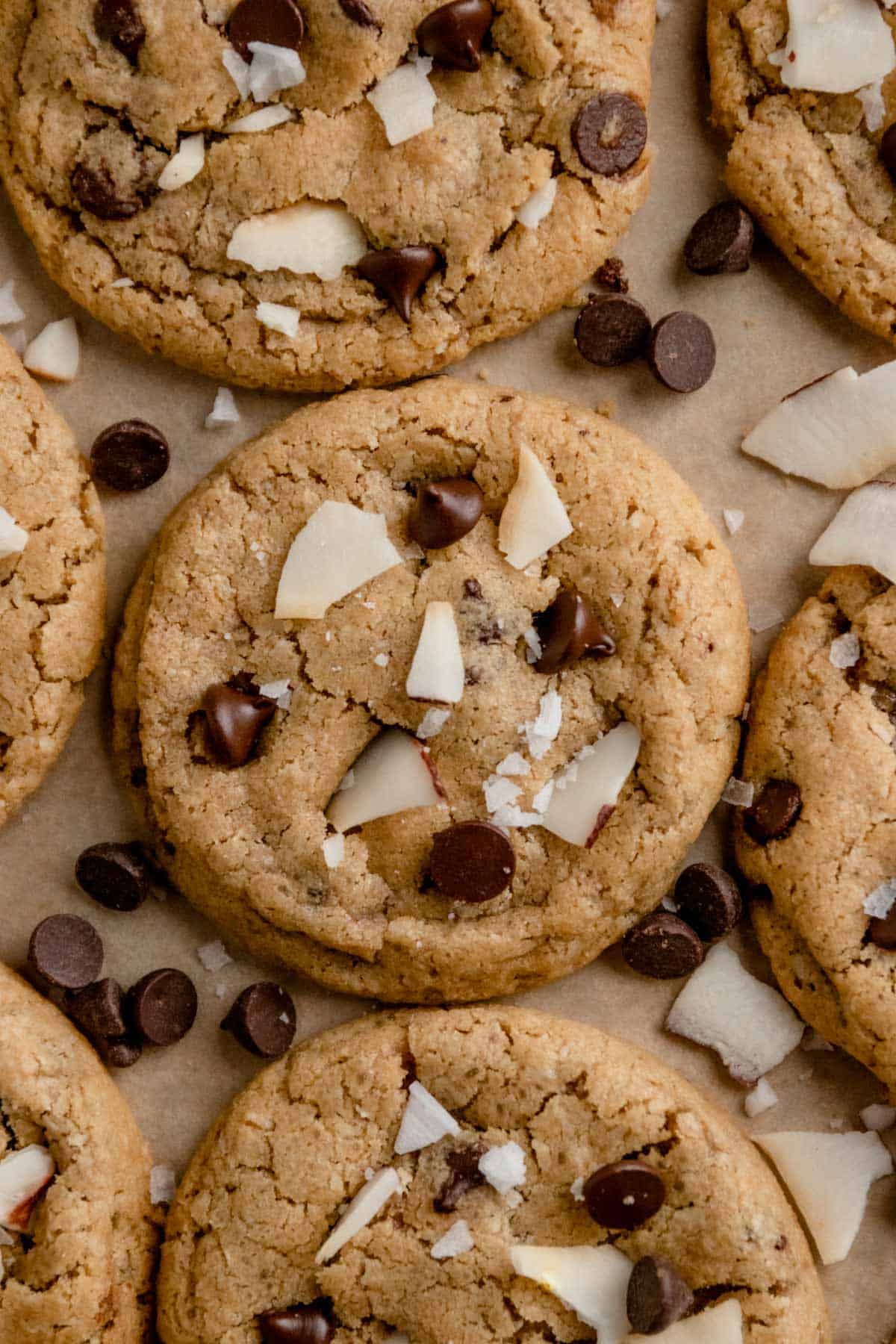 Coconut Chocolate Chip Cookies