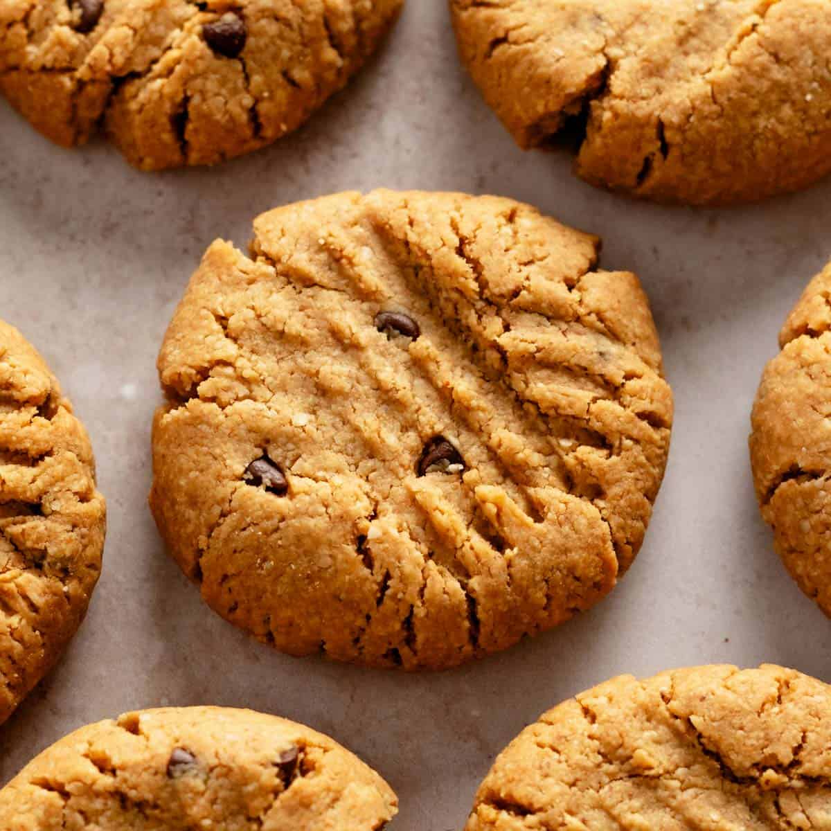 Almond Flour Peanut Butter Cookies (Gluten Free, Dairy Free, Vegan)