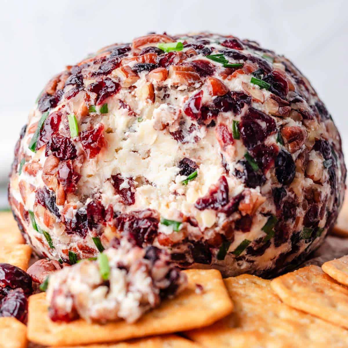Cranberry Pecan Cheese Ball