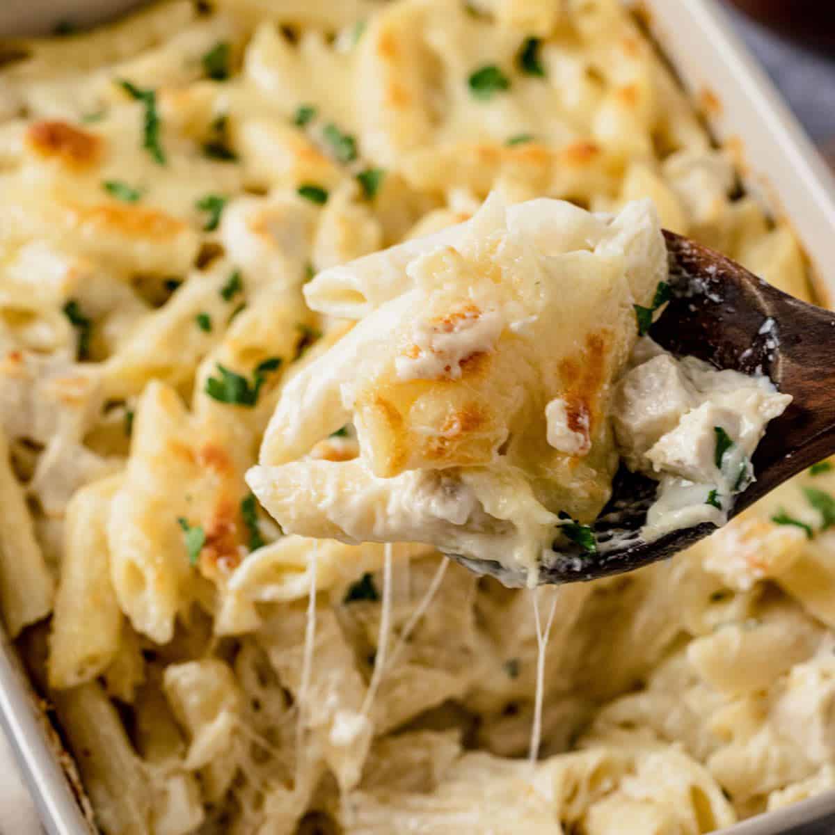 Chicken Alfredo Pasta