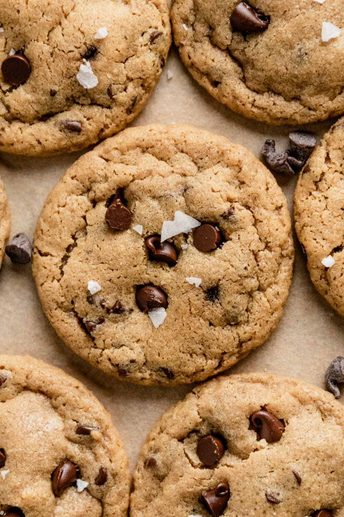 Mini Chocolate Chip Cookies