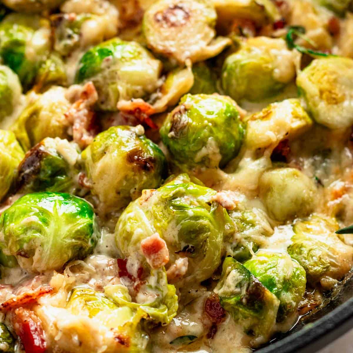 Creamy Brussel Sprouts Recipe