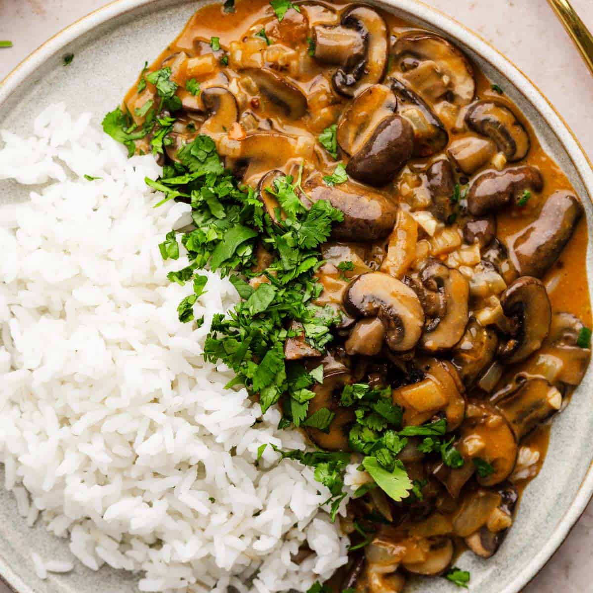 Quick Mushroom Stroganoff (Vegan Option)