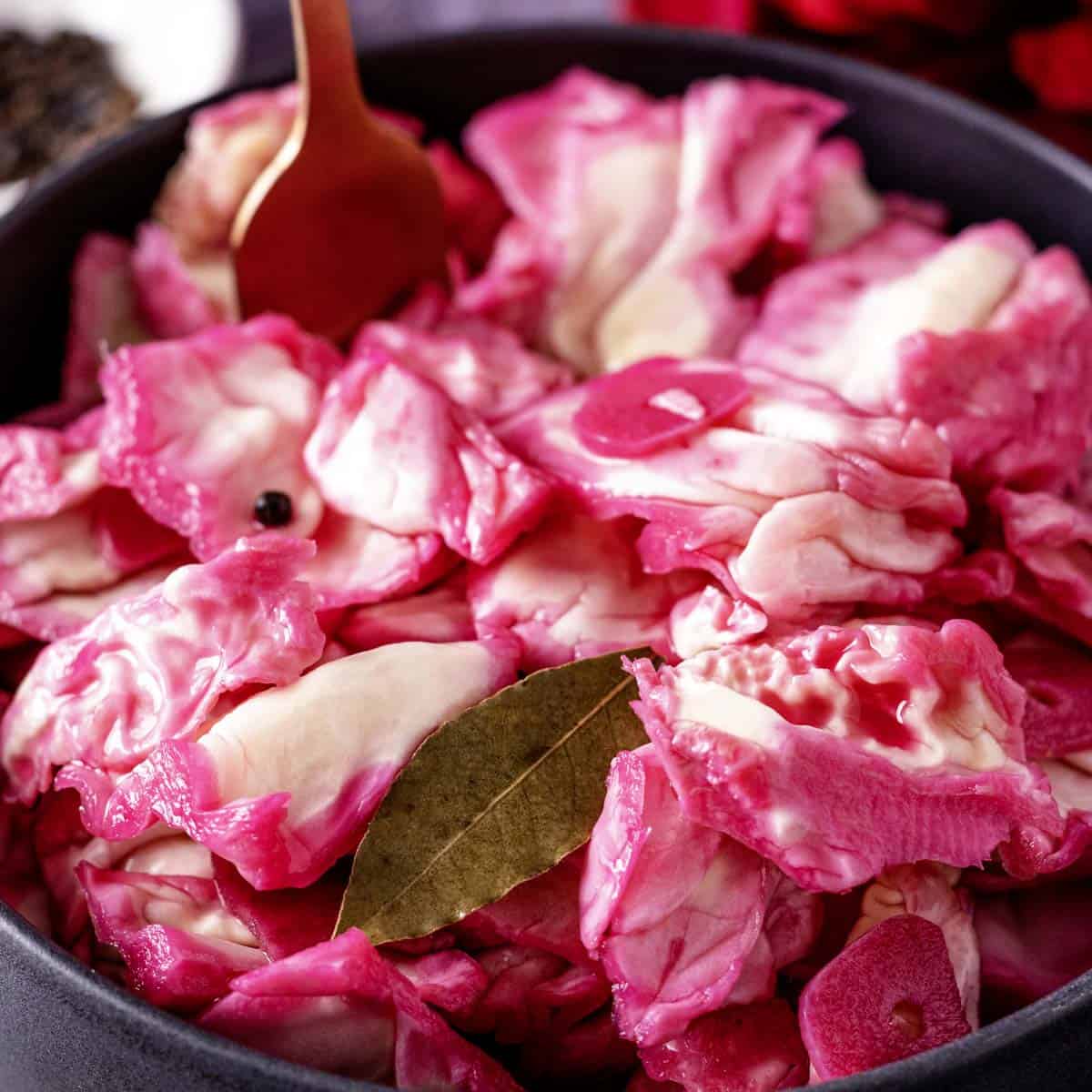 Pickled Cabbage Recipe