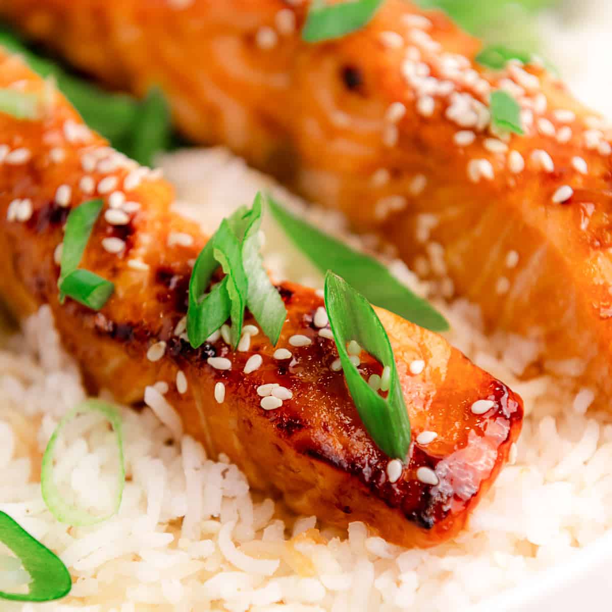 Air Fryer Teriyaki Salmon (20 Minute Dinner!)