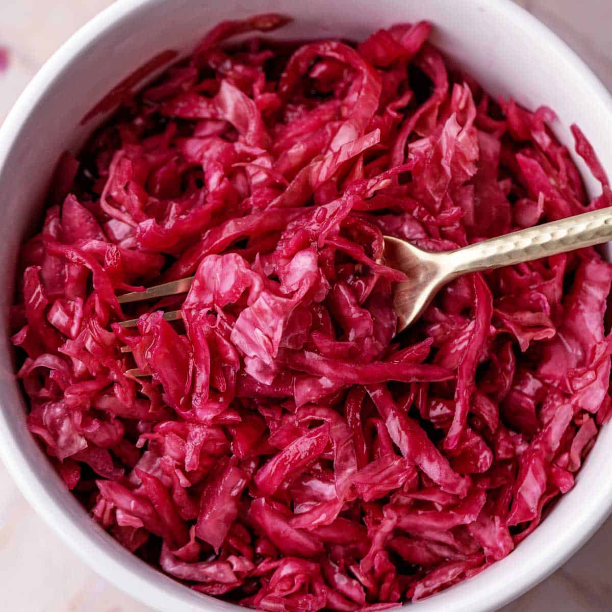 Fermented Red Cabbage