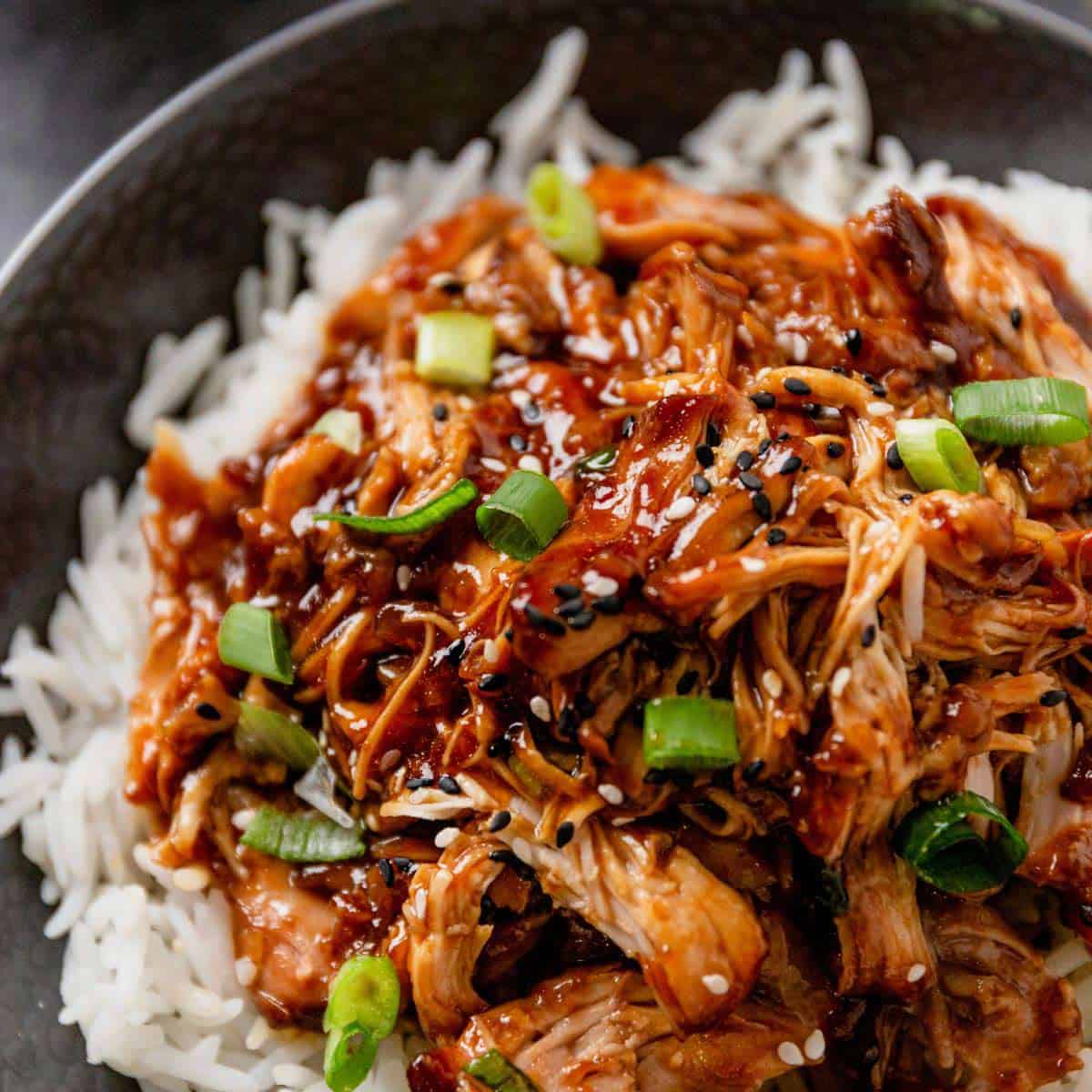Slow Cooker Honey Garlic Chicken Thighs