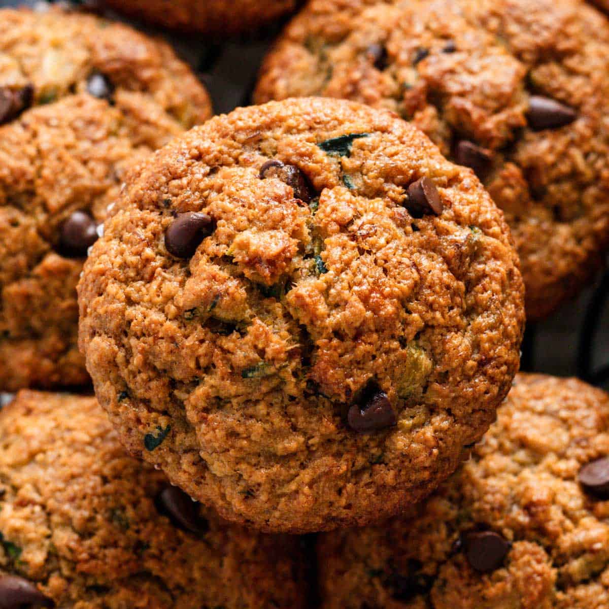 Chocolate Zucchini Oatmeal Muffins (Gluten-Free)