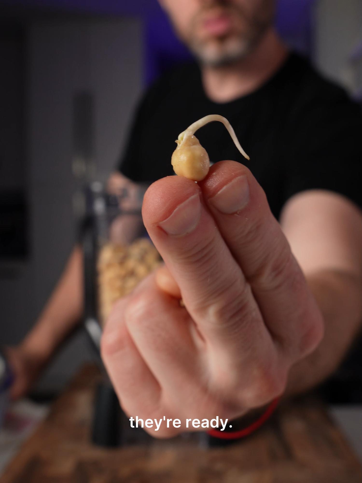 Sprouted Chickpea Hummus