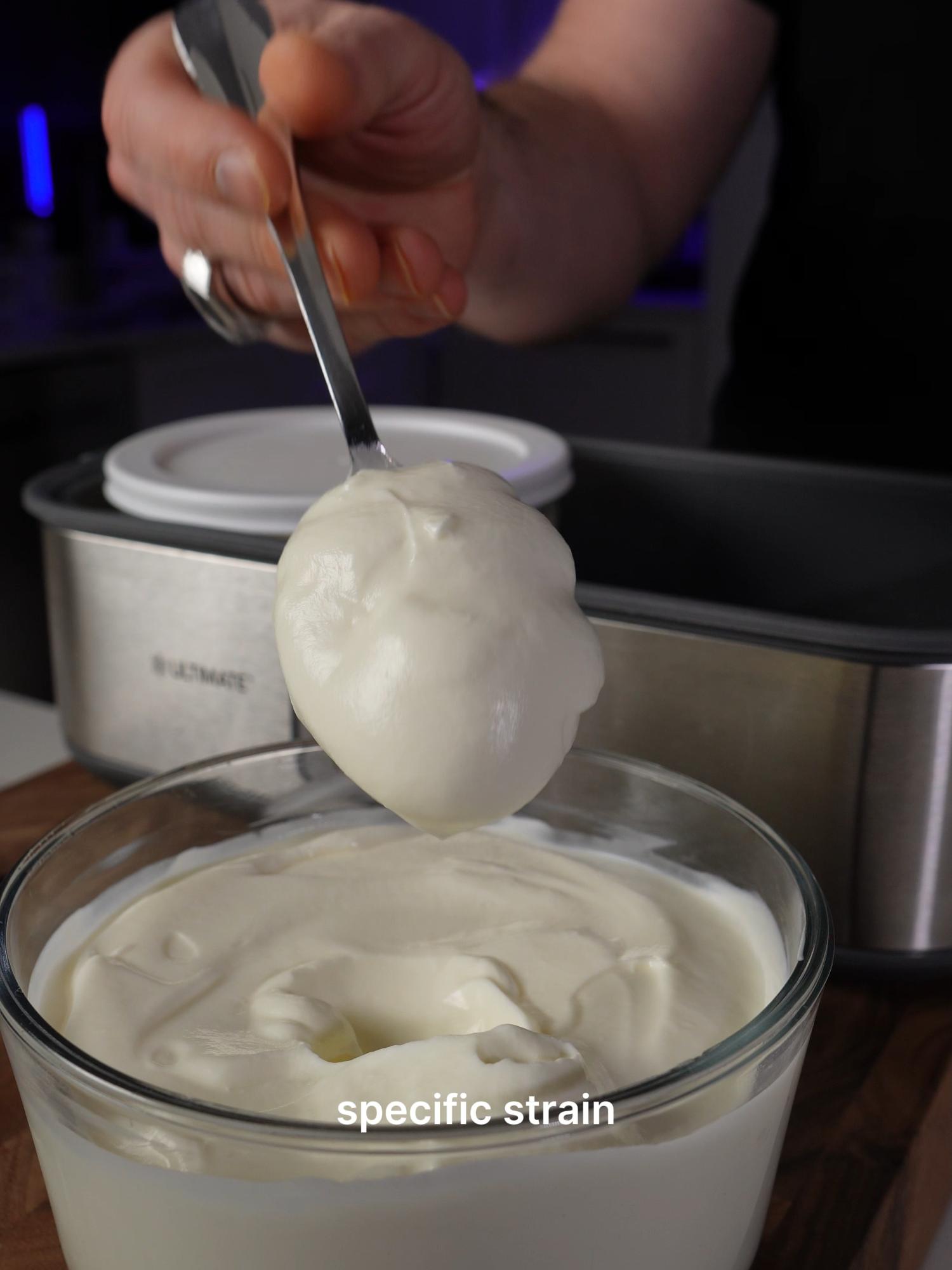 L. Reuteri Yogurt