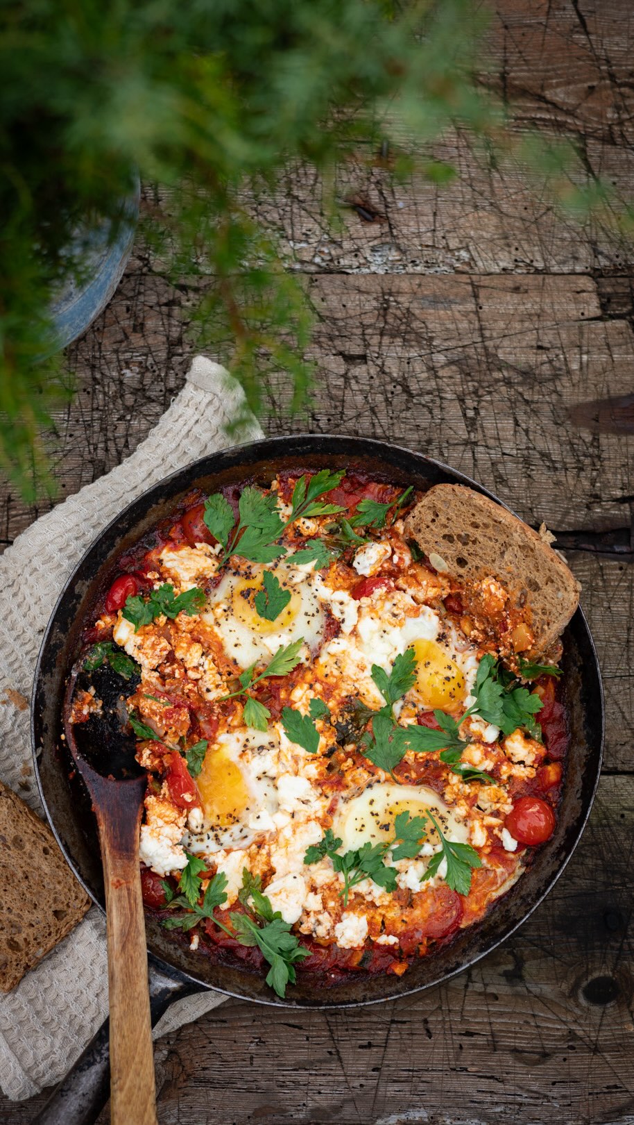 Shakshuka