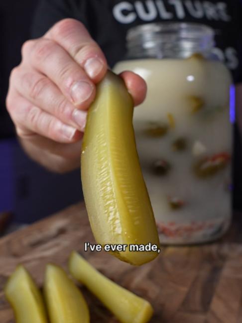 Fermented Pickles